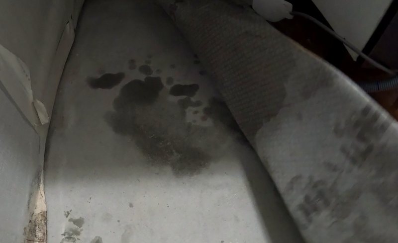 팽성 누수탐지 — 천장 마감재에 짙게 번진 물 얼룩