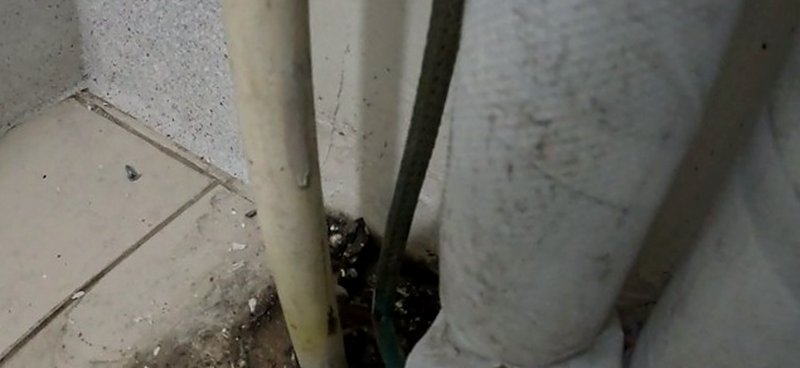 신장동 누수탐지 — 베란다 모서리 바닥에서 올라오는 배관과 타일